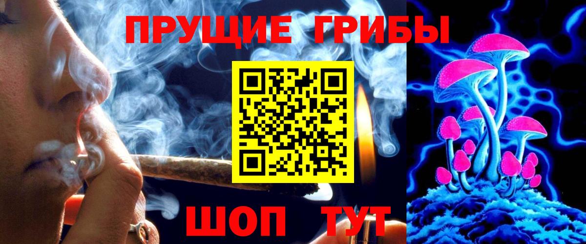 Кстово  Псилоцибиновые грибы прущие грибы  Галлюциногенные грибы Psilocybe  Вход с VPN 